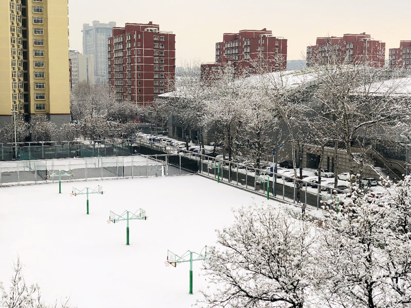 北京郵電大學(xué) 大雪后的北郵校園（范圍/攝）