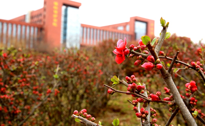 �����r(n��ng)�ֿƼ���W(xu��) ����ؓ(f��)���ⲻؓ(f��)�㡱����܊/�z��