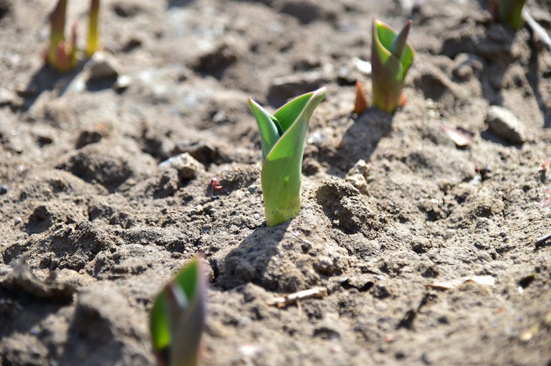 �����]늴�W ϣ�����m��/�z��