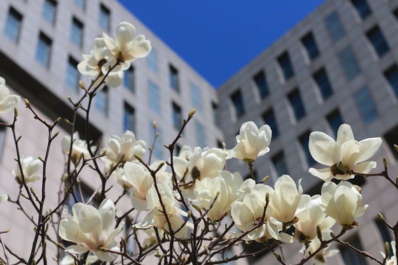 �Ї����|(zh��)��W(xu��)�������� �ݷ��ǰ���m�_���ڴ��ゃ�ٚw�������s��/�z��