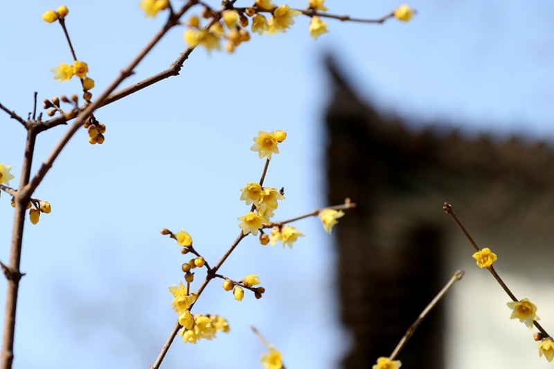 ɽ���r(n��ng)�I(y��)��W(xu��) Ϟ÷�`�ţ�����|/�z��