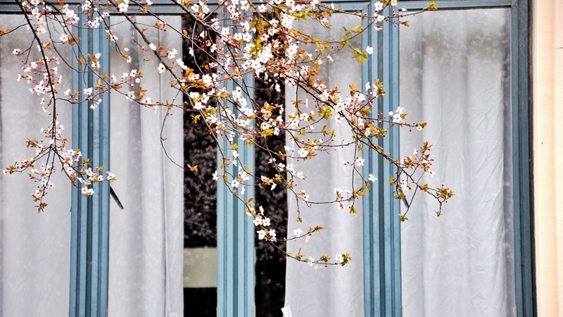 �Ϻ����(gu��)�Z��W(xu��) ��������@��(g��)�������������ģ�ӡ�������/�z��