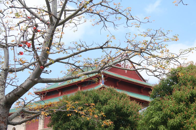 �B�T��W ľ�޻��`�ţ�������/�z��