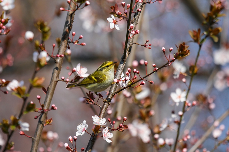 �Ϻ���(du��)�⽛(j��ng)�Q(m��o)��W(xu��) У�@�t�~��Ę������w��(l��i)���Sü���L����С��/�z��