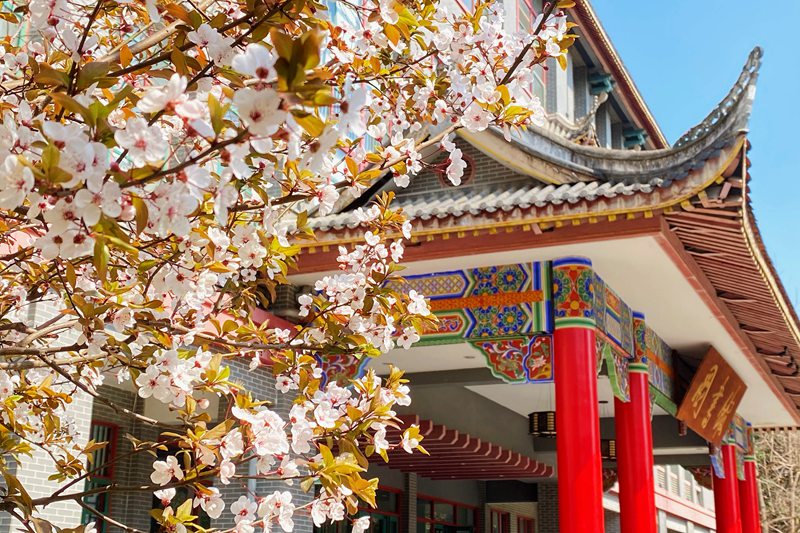 �Ĵ���W(xu��) ��إ���󴺺;������W(xu��)У�hί���������D��