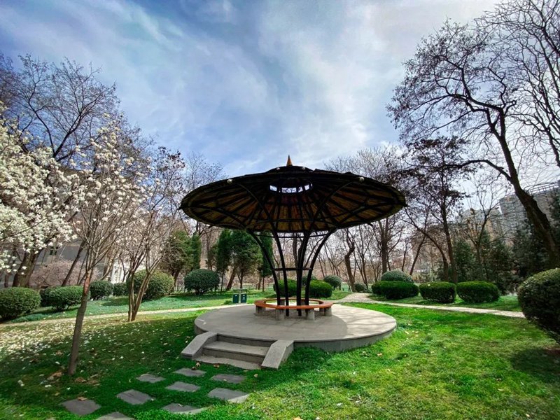 ������ͨ��W(xu��) ��֬�´��ⰻȻ���W(xu��)У�hί���������D��