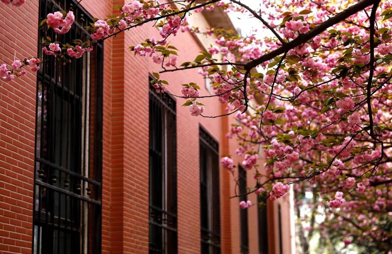 �������I(y��)��W У�@������ɫӯӯ���WУ�hί���������D��