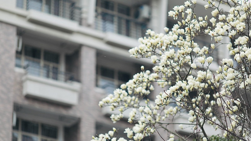 �㽭��W(xu��) �Ͻ��У�^(q��)��������������һ������m���`��֦�^�������/�z��