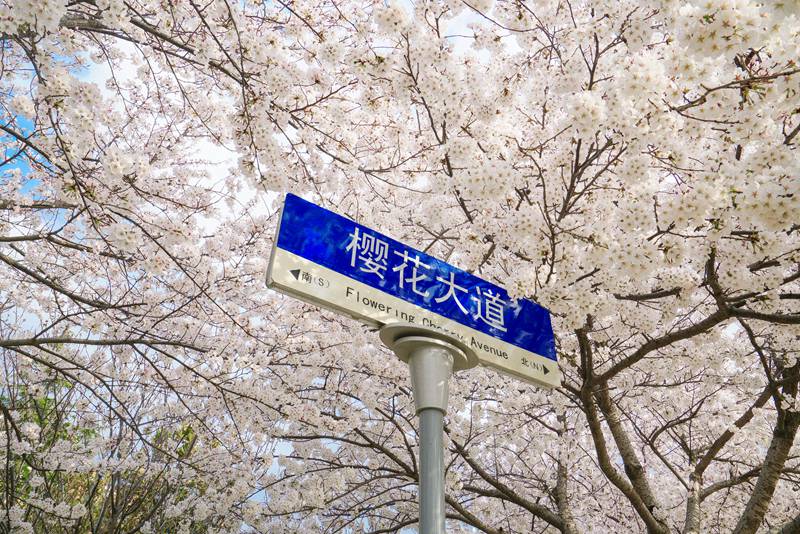 �Ї������W �ѻ���������W/�z��