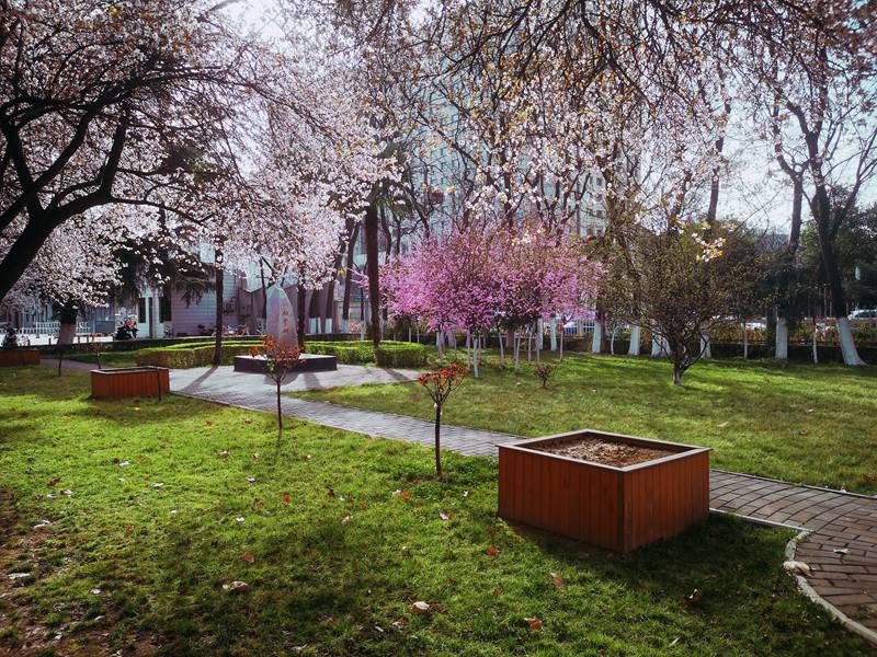 �L����W(xu��) ���W(xu��)���Դ�����g������/�z��