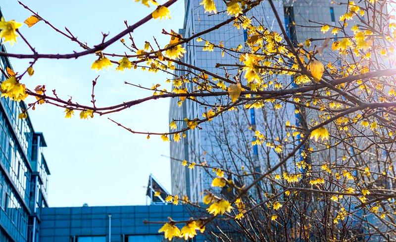 �Ї�ʯ�ʹ�W(xu��)�������� ����@��Ԣǰ���B�N��ӭ�L(f��ng)���裨���/�z��