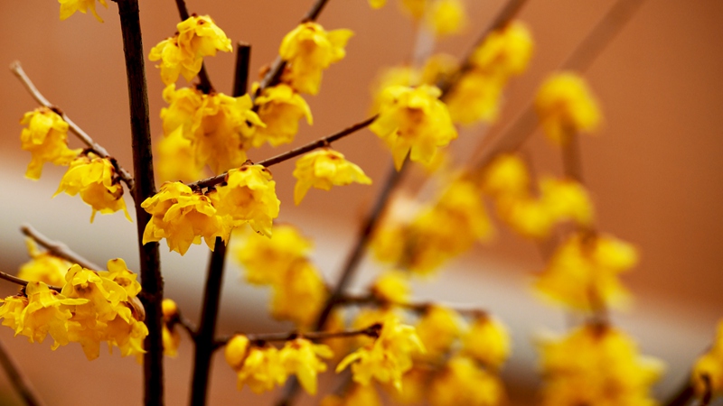 �Ї�(gu��)�r(n��ng)�I(y��)��W(xu��) ����֦�^���W�(y��ng)��־/�z��