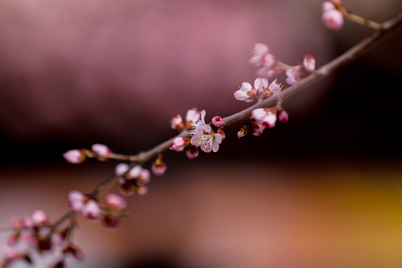 �׶���(j��ng)���Q(m��o)�״�W(xu��) У�@����һ���������¶���˼t����ЦĘ���ܺ��i/�z��