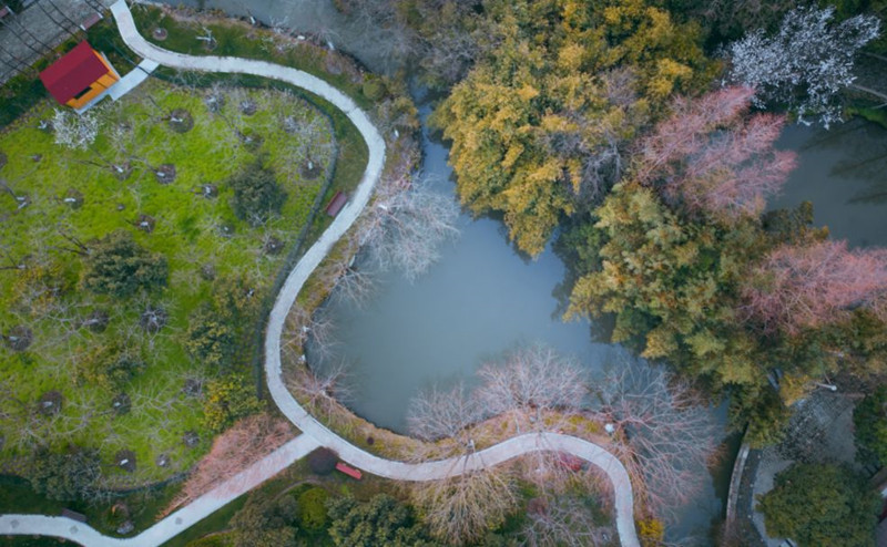 �Ϻ���ͨ��W(xu��) ֲ��@��(n��i)����ī���ѡ�����˼δ/�z��