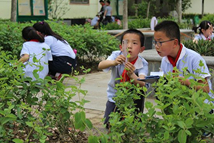 新時(shí)代勞動(dòng)教育有"泥土"還要"破土"