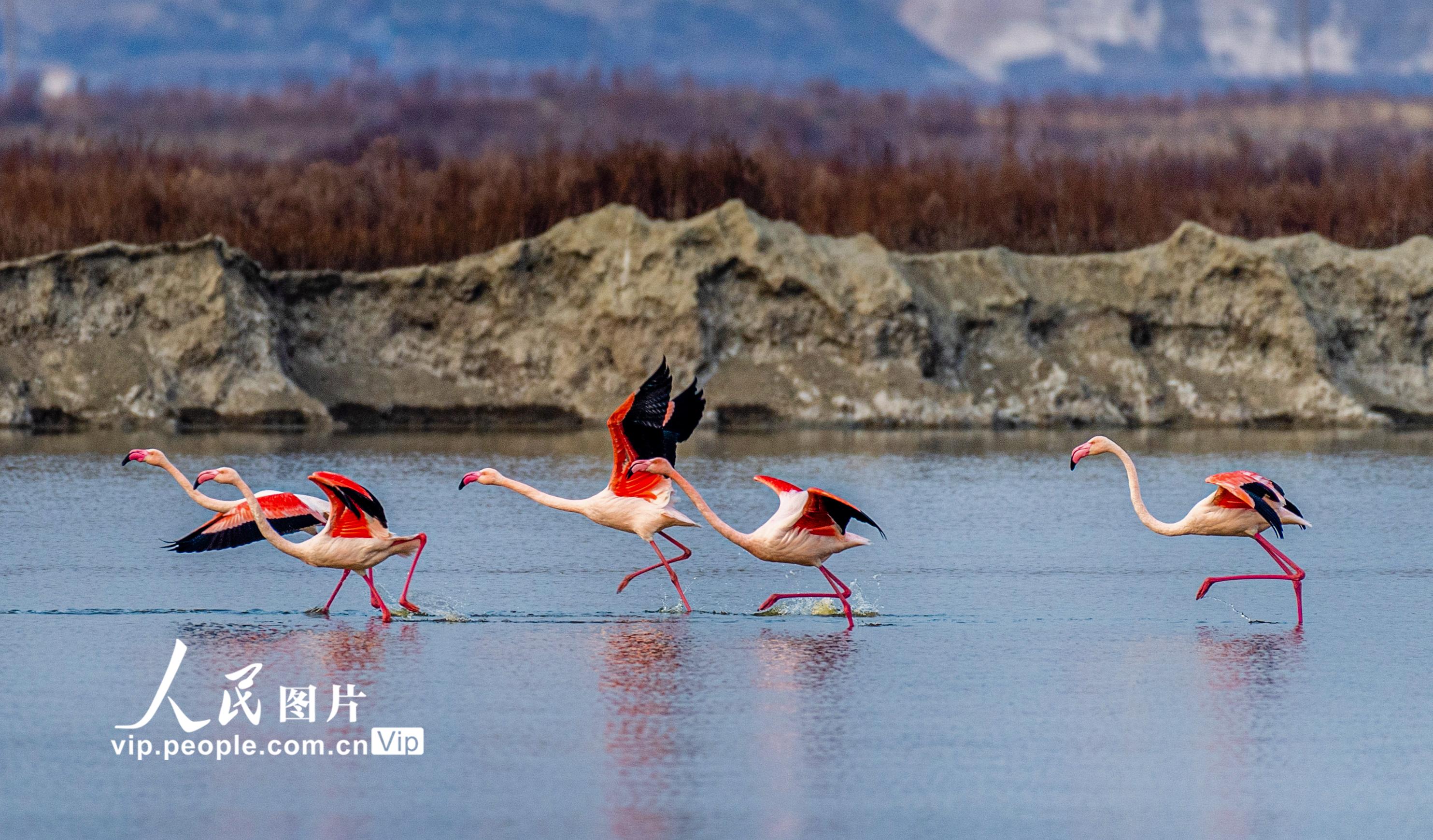 ��У�����R�۱��� �Ƅ�(d��ng)�R��˼���x�W(xu��)Ժ���ٰl(f��)չ