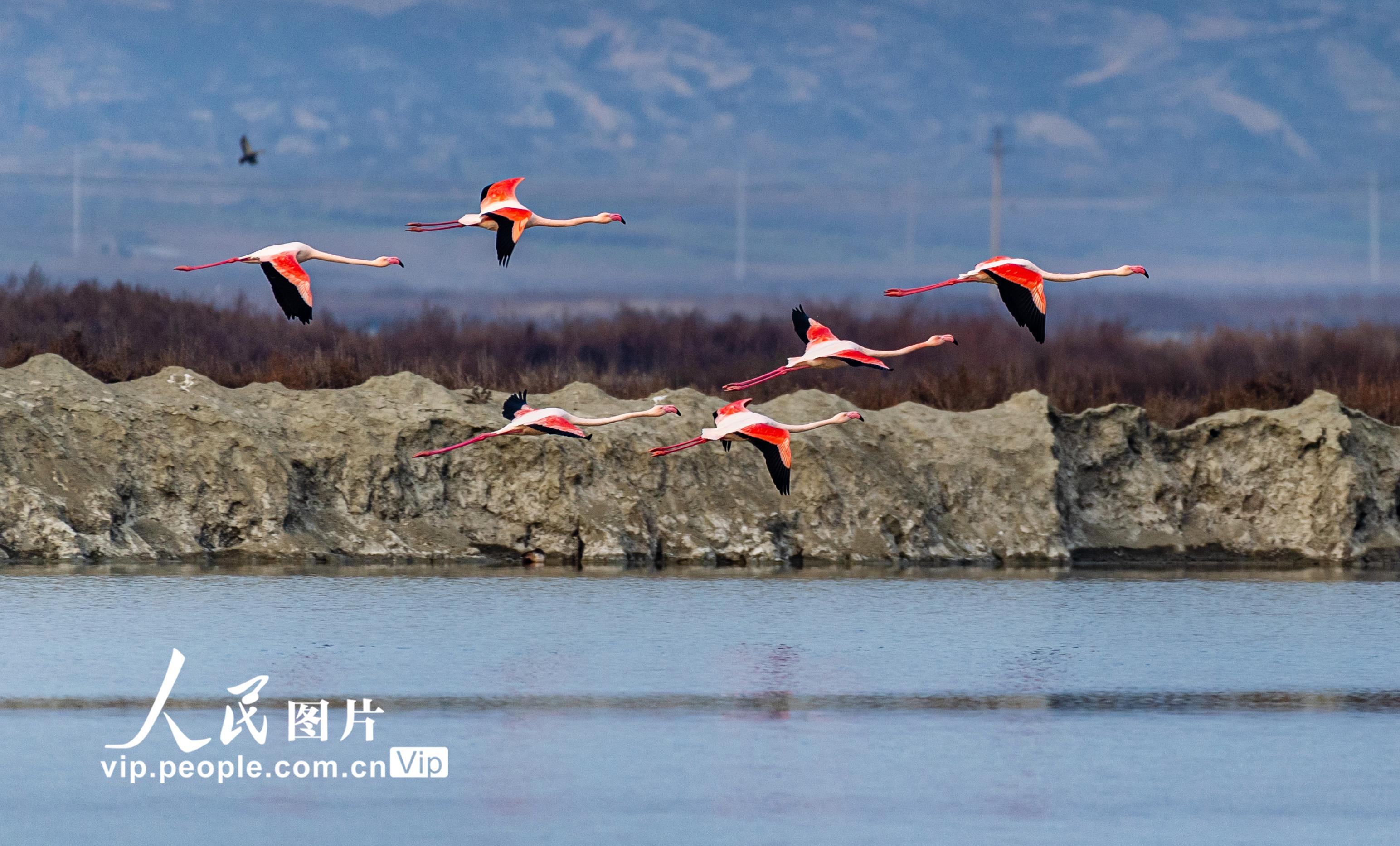 ��У�����R�۱��� �Ƅ�(d��ng)�R��˼���x�W(xu��)Ժ���ٰl(f��)չ