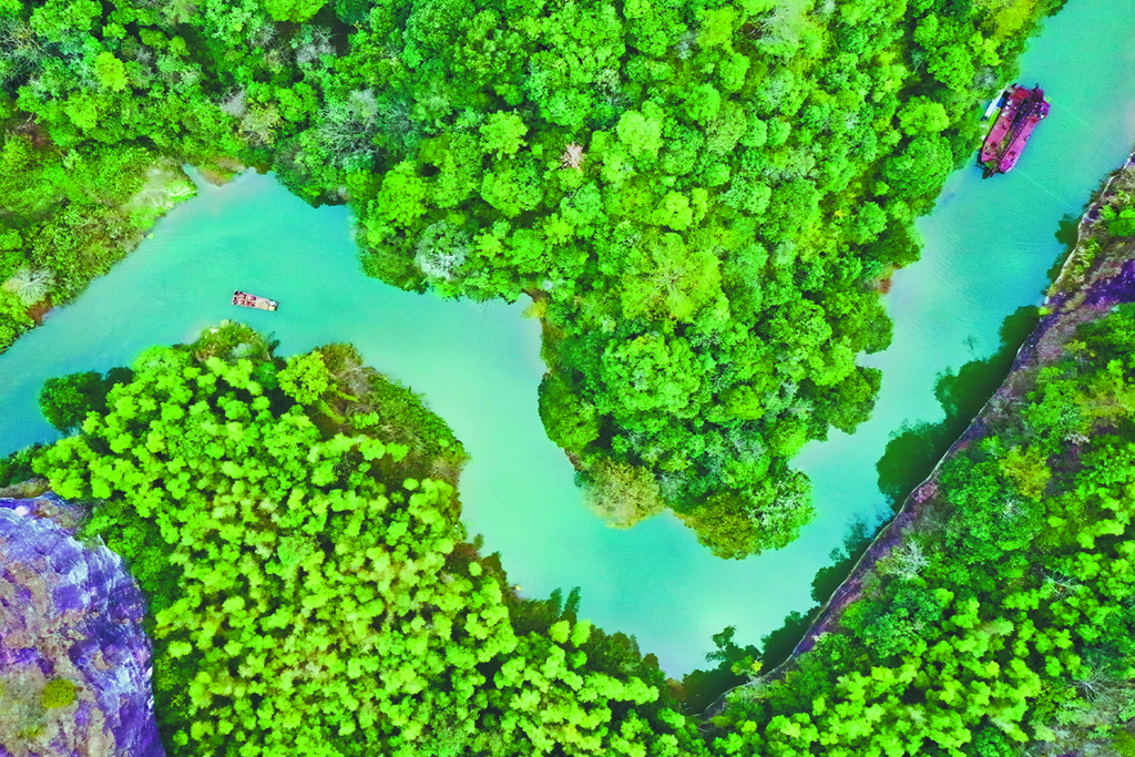 ��У�����R�۱��� �Ƅ�(d��ng)�R��˼���x�W(xu��)Ժ���ٰl(f��)չ