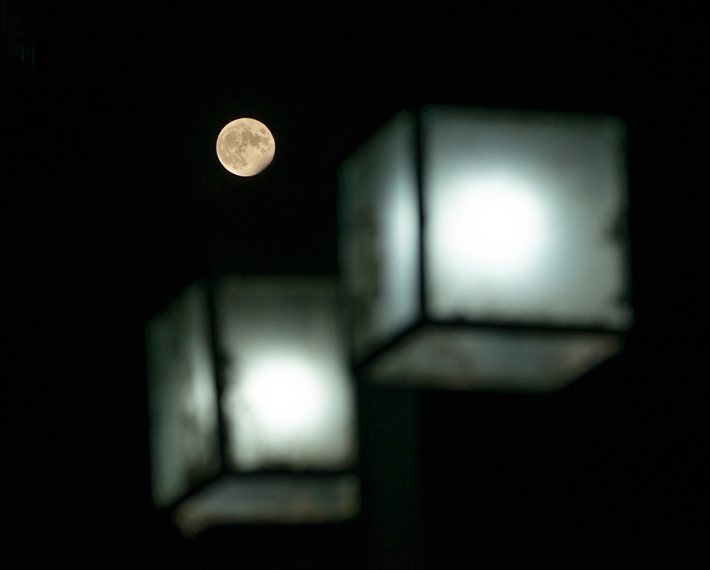 �����Ƽ���W(xu��)������֮ҹ�������c·�������xӳ���W(xu��)У���D