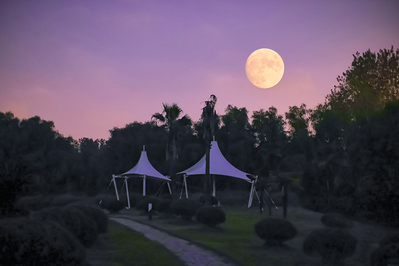 �Ϻ����⽛(j��ng)�Q(m��o)��W(xu��)����У�@���С��ͤ�p�����ĵ����p���ع��µĳ�����������С���z