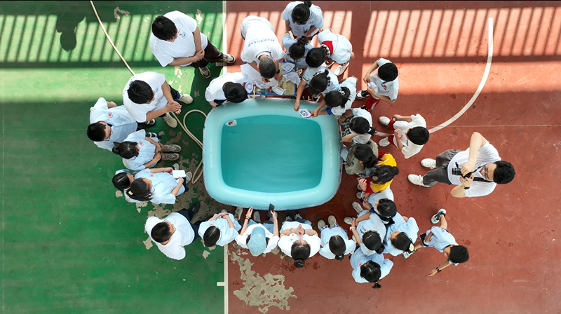 ��ӬF(xi��n)�����������պ����W���D