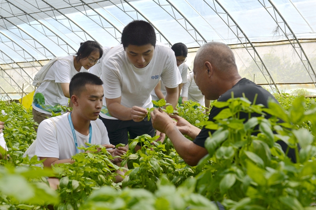 大學(xué)生走進(jìn)北京平谷開(kāi)展暑期鄉(xiāng)村實(shí)踐