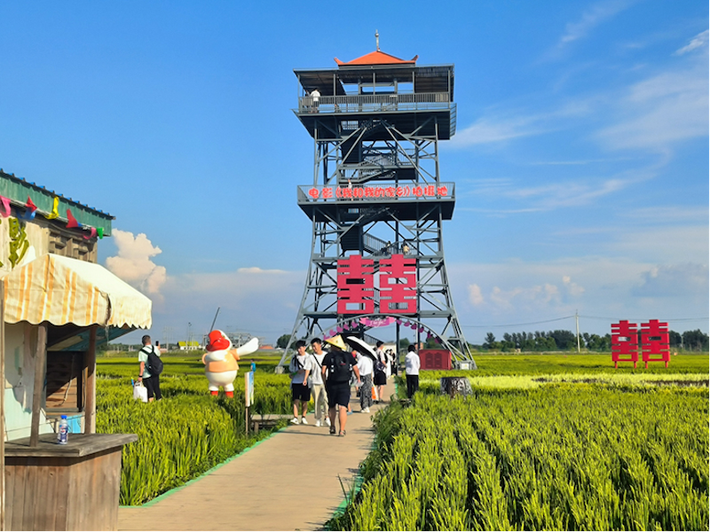 �Ӱ���Һ��ҵļ��l(xi��ng)���Ĕz�ء��A��(m��ng)����������������W(xu��) ��������z