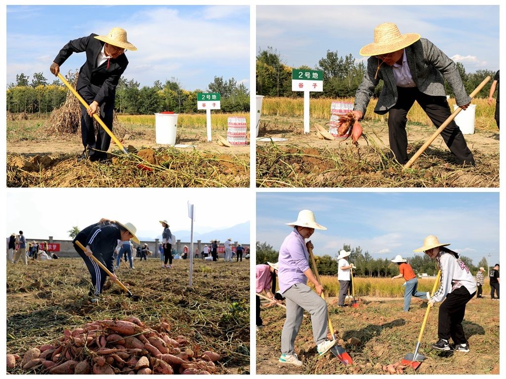 活動(dòng)現(xiàn)場(chǎng)。北京農(nóng)學(xué)院供圖