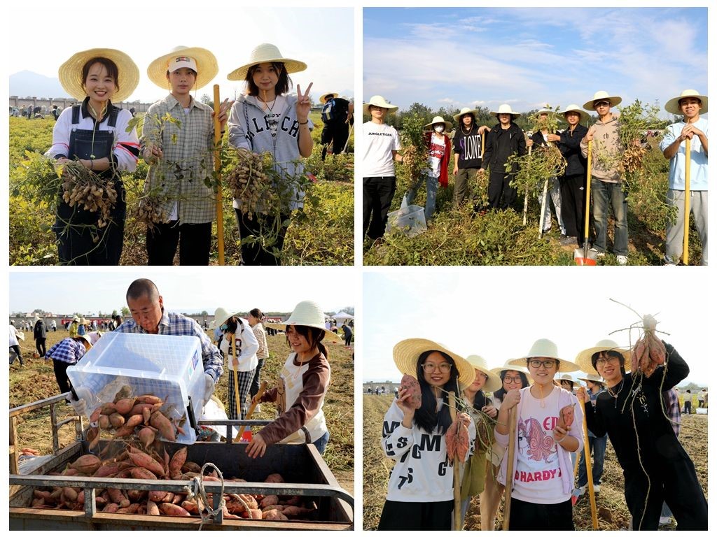 活動(dòng)現(xiàn)場(chǎng)。北京農(nóng)學(xué)院供圖