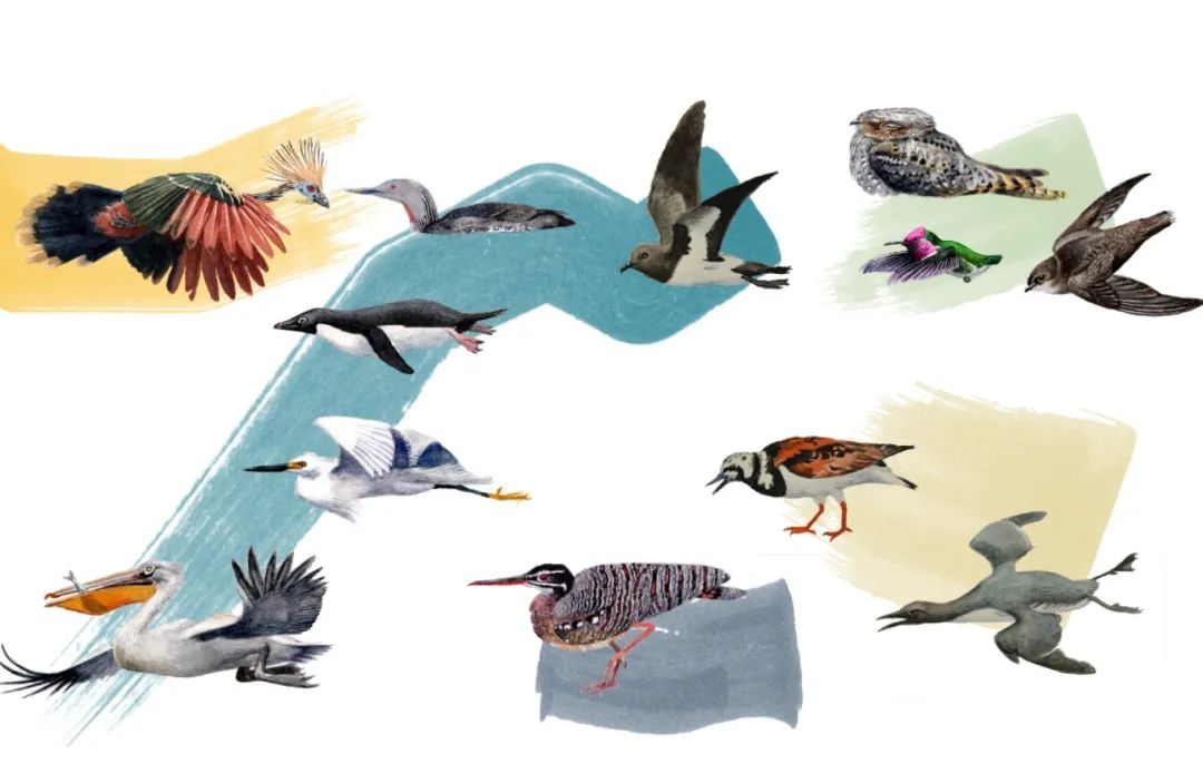 Ԫ���B��㽭��W(xu��)���D