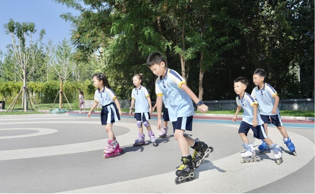 ���c���ڌW(xu��)�����L��ͬ�w��ӵĺ��ӂ��M(j��n)��݆���\(y��n)�����ߺ�Ƚ�z