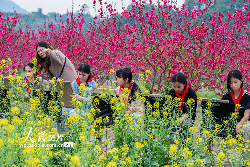 廣西蒼梧:花間寫生繪春光