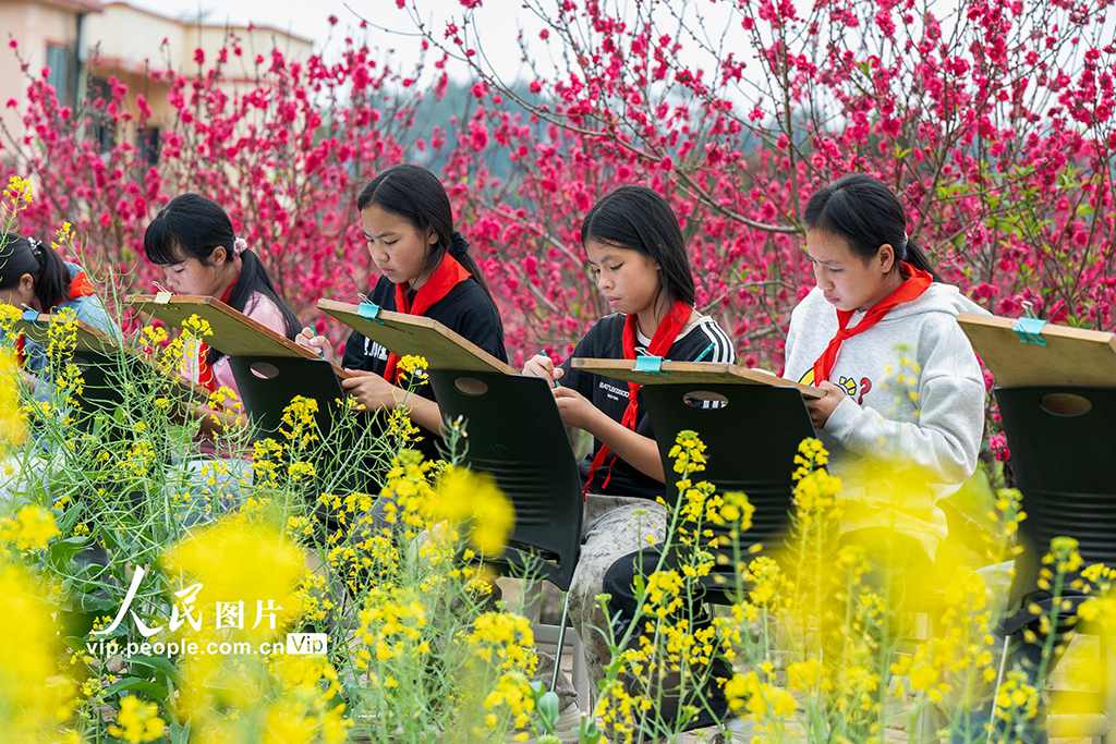 廣西蒼梧:花間寫生繪春光【5】