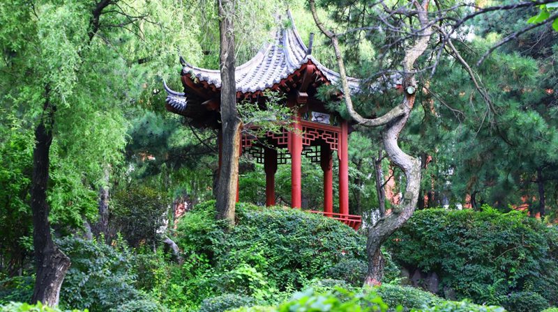 長春理工大學春意襲人，校園換上春裝。杜政磊攝