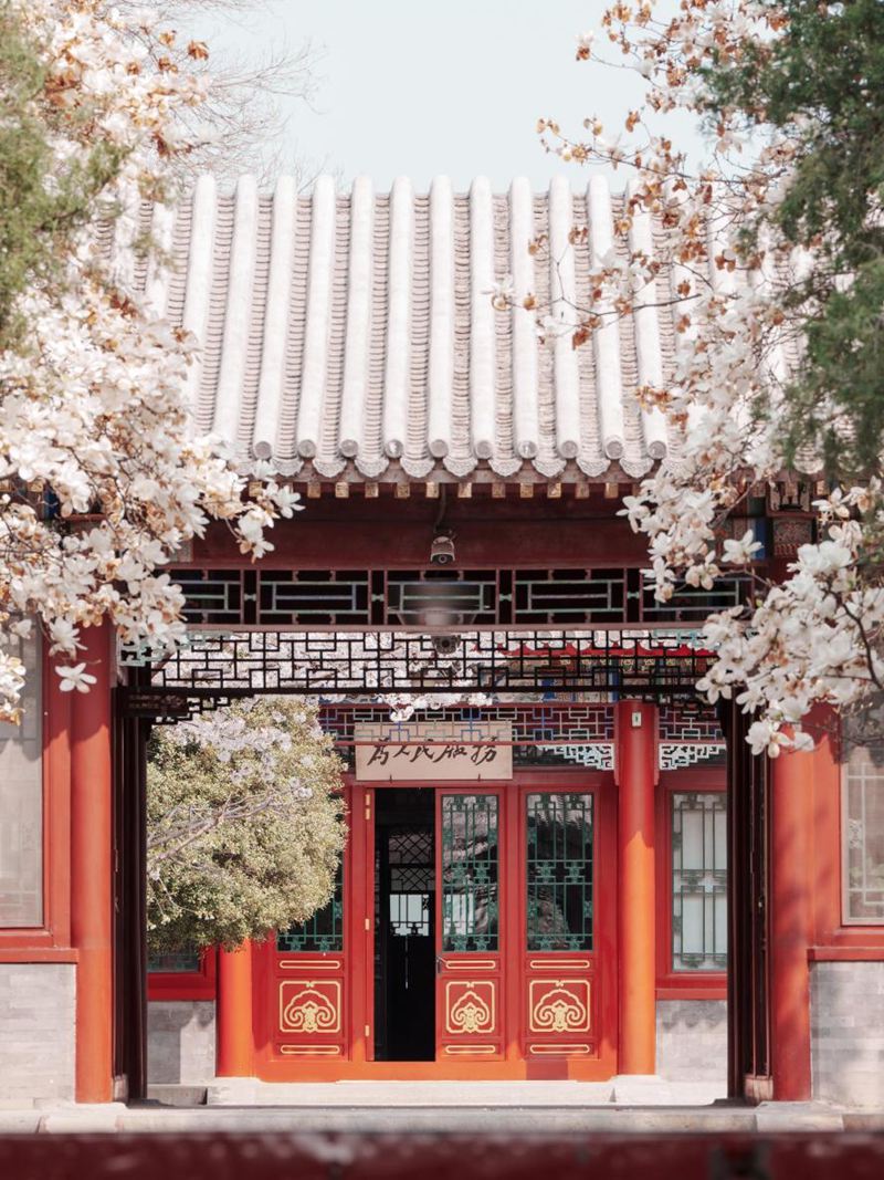 清華大學(xué)工字廳前，春意盎然。張兆基攝