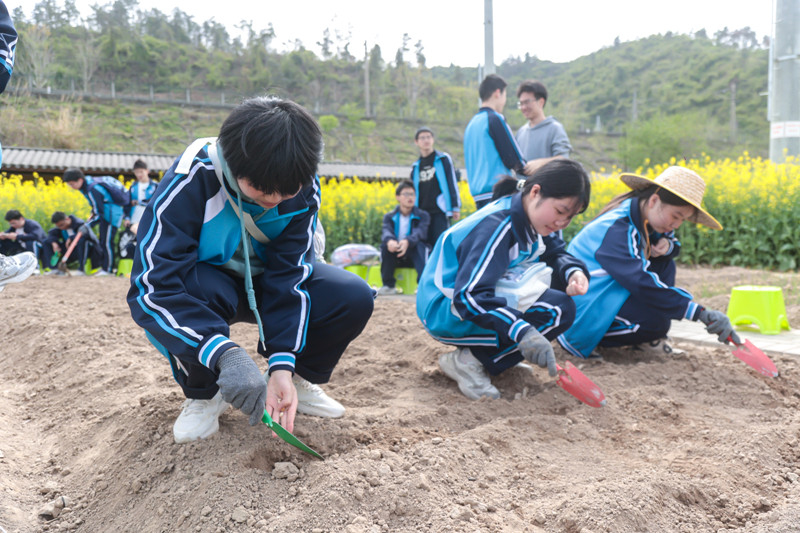 同學(xué)們學(xué)習(xí)農(nóng)耕技能。校方供圖