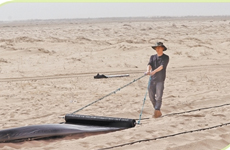 在沙海扎根 為家鄉(xiāng)添綠