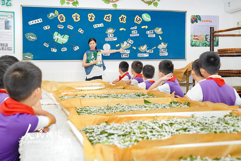 浙江安吉：桑蠶文化進(jìn)校園【4】