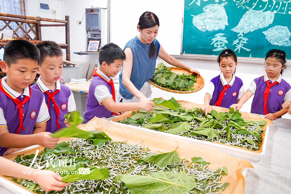 浙江安吉:桑蠶文化進(jìn)校園
