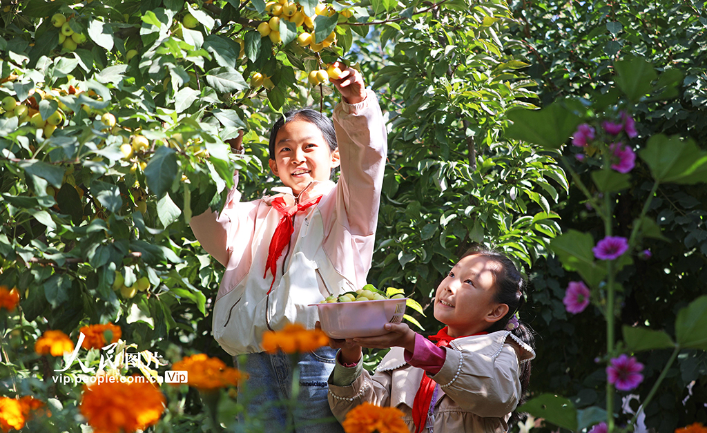 甘肅民樂：校園“豐收節(jié)”【2】