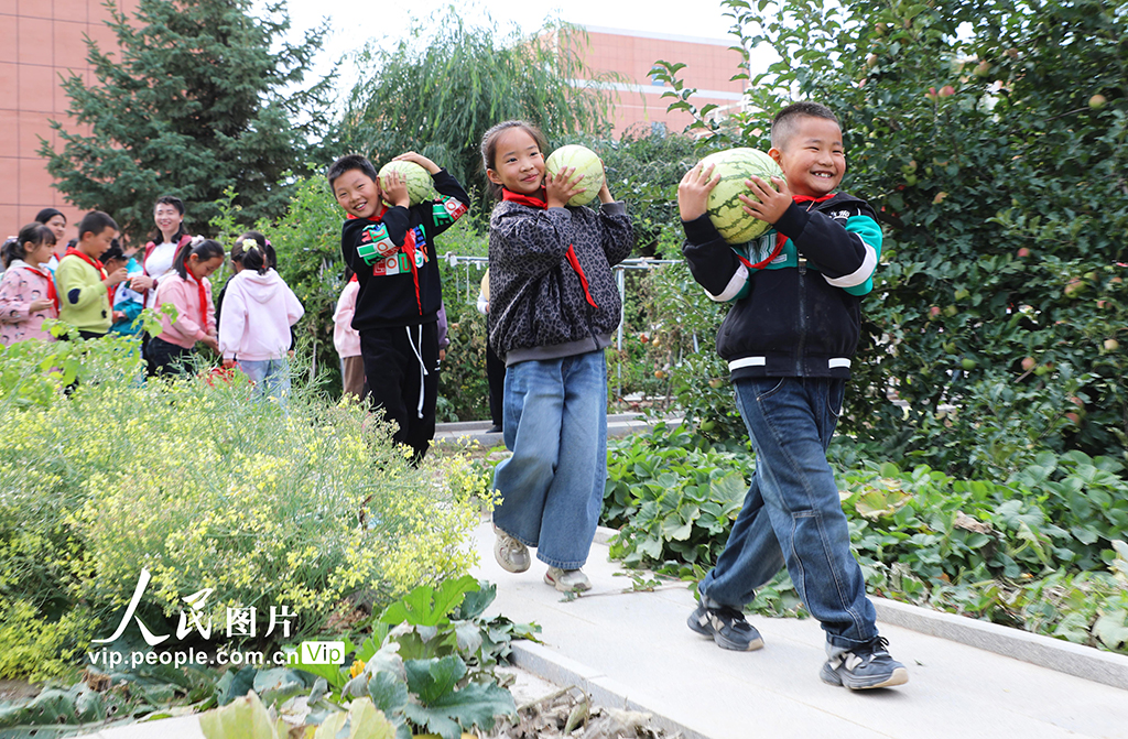 甘肅民樂(lè)：校園“豐收節(jié)”【6】