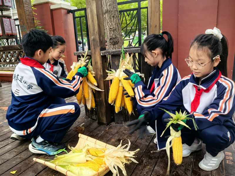 學(xué)生們?cè)诹罆裼衩?。學(xué)校供圖