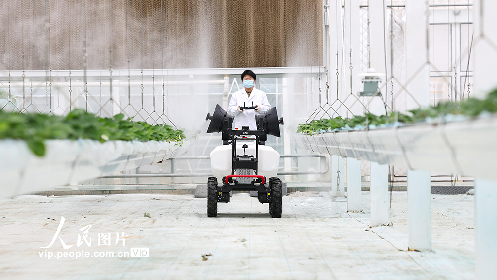 上海:實訓基地學“智慧農(nóng)業(yè)”【4】