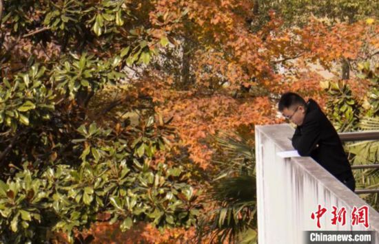 中國(guó)計(jì)量大學(xué)學(xué)生在復(fù)習(xí)。　中國(guó)計(jì)量大學(xué)提供