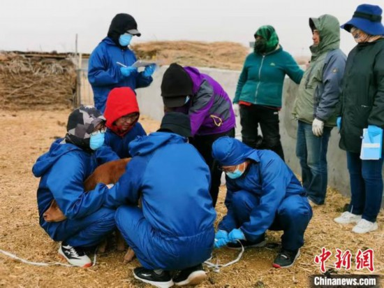 �D������i�F(tu��n)꠳ɆT������ץţ�������L�߹��D��