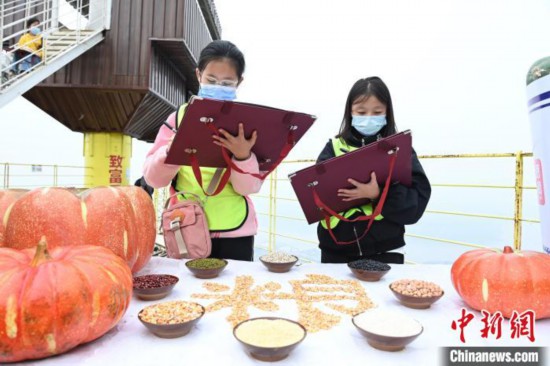 С�W�������ڑ����M���L������ꐳ� �z