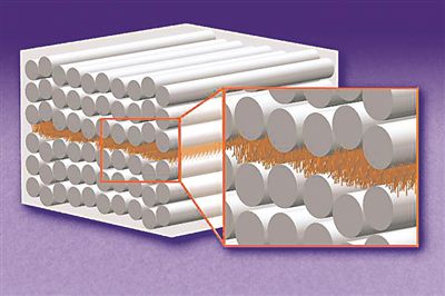 ԓʾ��D�@ʾ�˾��Џ�(f��)�όӵĹ��̲�����̼�w�S�ӣ��L�y�ܣ�֮�g��̼�{�׹�ɭ�֣���ɫ���w��У������DƬ��Դ�������ƌW(xu��)���M���W(w��ng)վ