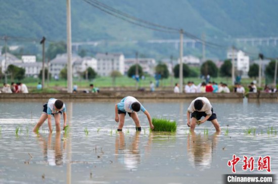 �D��5��21������ꖿh�����ЌW(xu��)�W(xu��)���������f������w���������� �z