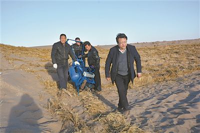 ����Ӣ����һ�������ɳĮ����ԇ������ַ�ʽСɳ�ϙC�����L�߹��D