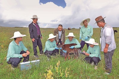 甘肅農(nóng)業(yè)大學(xué)師生在牧場(chǎng)回訪。新甘肅·甘肅日?qǐng)?bào)記者 田蹊攝